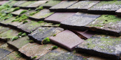 Kidsgrove roof repair costs
